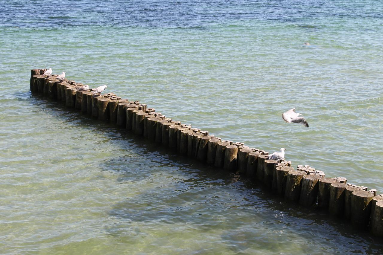 דירות Ostseebad Kühlungsborn Yachthafenresidenz מראה חיצוני תמונה
